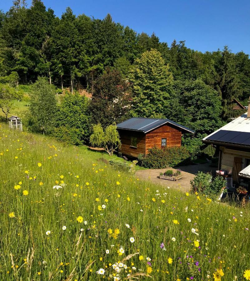 Gîte Le Mazot de Vouan Saint-Andre-de-Boege Buitenkant foto